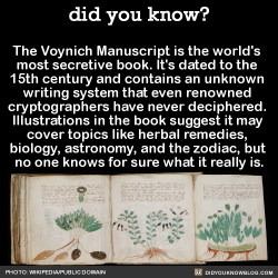 did-you-kno:  The Voynich Manuscript is the world’s  most secretive