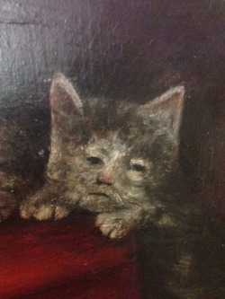 memeufacturing: medieval painters: what is a feline? a miserable