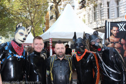 So many human rubber dogs! You can learn more about human pup