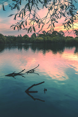 lmmortalgod:  Colorful lakeside