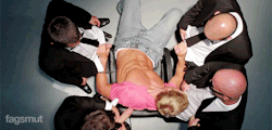 dadsboysbears:   dadsboysbears:         Lots of Dads Boys Bears