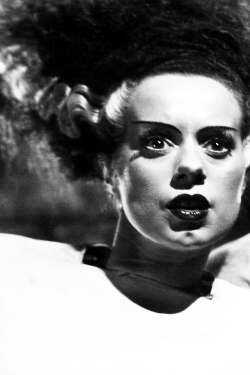 vintagegal:  Elsa Lanchester in The Bride of Frankenstein (1935)