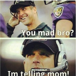 prettydreadsx:  Lmaooo #superbowlxxvii #ravens #harbaugh