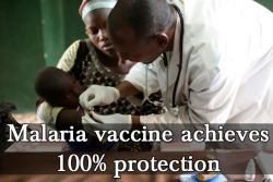 the-science-llama:  Scientists have made a malaria vaccine that