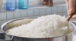 chipcococafe:  rectumofglory:  NOTHING IS BETTER THAN GOOD RICE