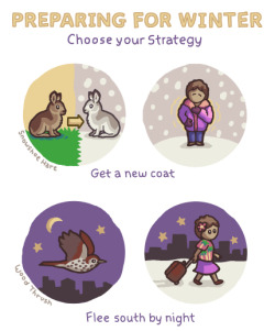 birdandmoon:  It’s time for winter - choose your strategy wisely!