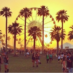 #ratherbeatcoachella #mydream #coachella #2014 #desert #missCalifornia