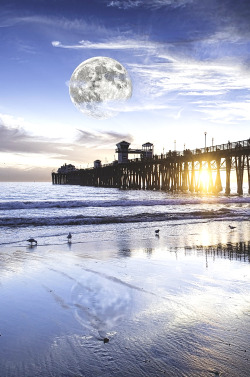 wavemotions:  Rising and setting by Alan Crosthwaite