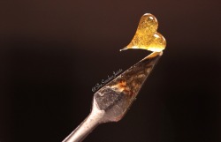 shesmokesjoints: Dabs and I… we have a very loving relationship