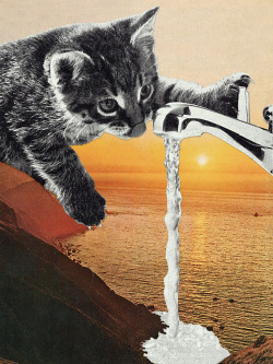 eugenialoli:  “Behind the California Drought“ by Eugenia