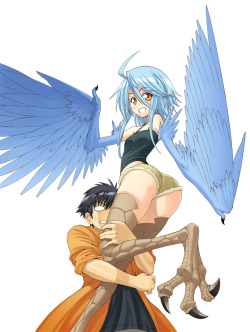 Papi the harpy! Who is from this