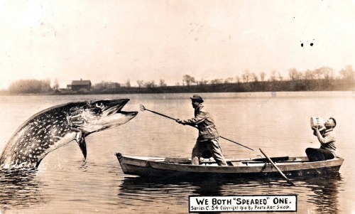 Poisson géant. Les photomontages des années 1910.