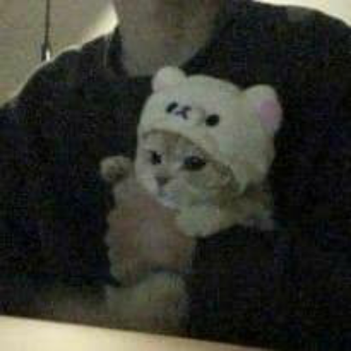 intotheupdown:paranomeow:Awe little bunny you’re so small ❤️