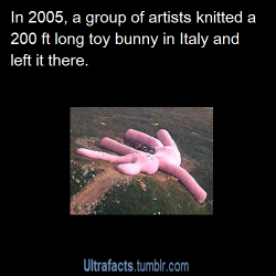 vannels:  ultrafacts:  emgsmurphy:  loadiave:  ultrafacts:  Source