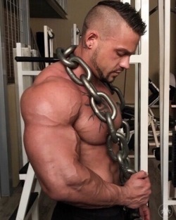 musclecorps:  