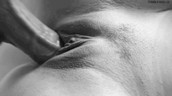Sex - the highest of communication!