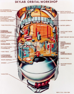 thewelovemachinesposts:  Artist’s concept cutaway view of Skylab