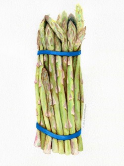 kendyllhillegas:  Asparagus, 2014 | by Kendyll Hillegas 9 x
