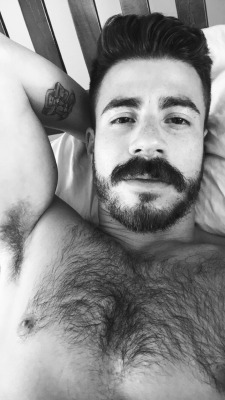 BEAR_HAIRY