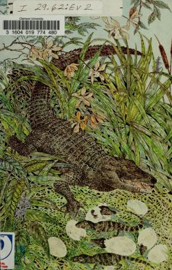 nemfrog:  Everglades Wildguide. 1972. Cover. U.S. Department