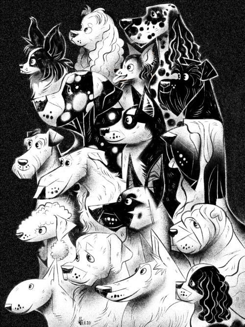 kikicolors:some dog breeds