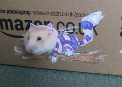 mythsandfabrications:  My daughter wanted to dress up her hamster