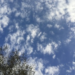 yellowsocksblr: the sky over my friend’s house was lovely the