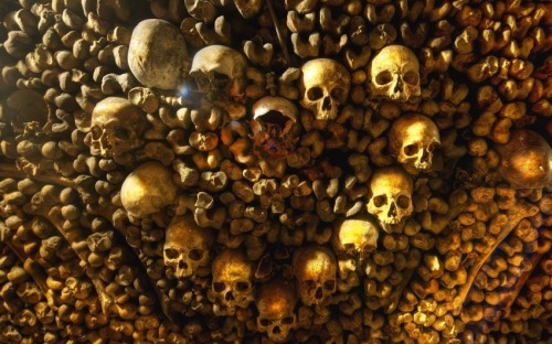 Perfect place for a stroll on All Hallow’s Eve … the Catacombs of Paris