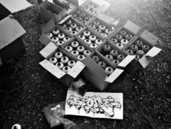 Vandalysm.