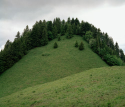 ryshorosky: Forêt de Jor, 2013