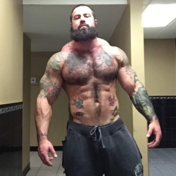 bearmuscleworship:  He has everything I want and need 