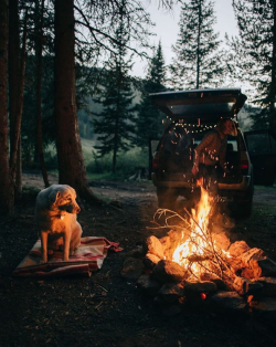 hollydazedd: Forrest Smith   When you spot a 4runner , haha redneck