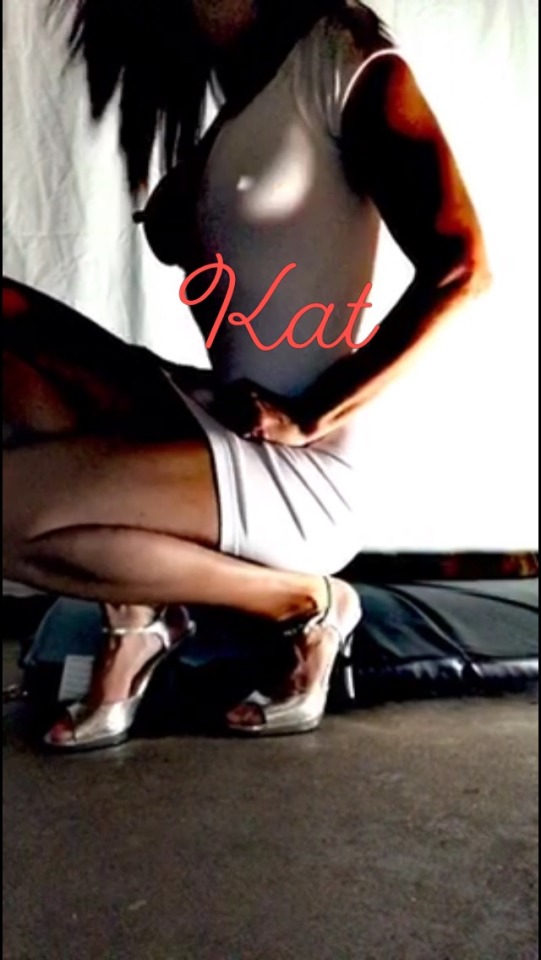 stray-kat-69:Moves like a Kat in heat…💋