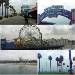 The world’s fastest your of Los Angeles. Venice beach and