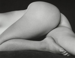 suaveeslanoche:  Edward Weston - Nude (1934) 