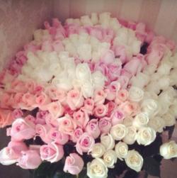 flourish-h:  florahly:  ♡ rosy blog ♡  ✿ rosy/bubblegum