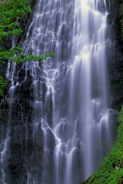 drxgonfly:  Kurokuma Falls 2 くろくまの滝 (by Sky-Genta)