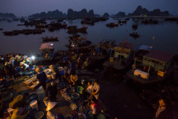 unrar:  Morning fish market in Cam Pha, Vietnam, George Steinmetz. 
