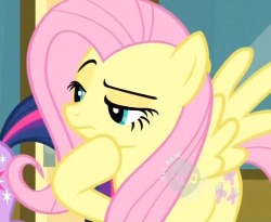 fluttershyponders:  “Just a quick update. My Mod has been