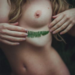 lisakimberly:  Leaf and Breast by Sam Goodridge 