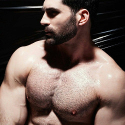 Follow Master Brandon  View the archive
