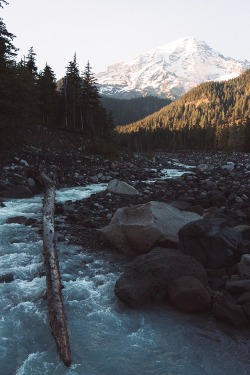 ponderation: Untitled by Adrian Photographer’s  Website |