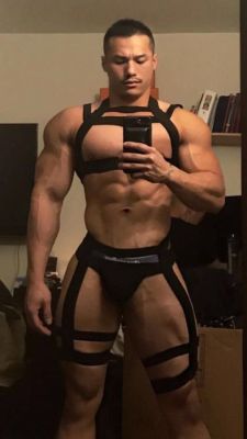 musclespace:  ID? Ryan Hoang