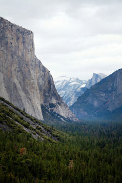 woodsndirt:  mitlas:  Yosemite (by Valerie Manne)   