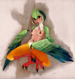 fuchs4chan:  harpy^_^. hmm..i drew her today for ecmajor and