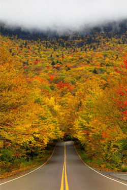 drxgonfly:  Vermont, Smugglers Notch State Park (by kevin mcneal)