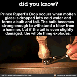 did-you-kno:    This glass explodes only due to the disturbance
