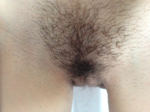 confessionsofateenperv:  Im growing my bush…. heres how it looked this morning :) http://confessionsofateenperv.blogspot.co.uk/ please please please reblog my posts…. i want to get lots of followers :) 