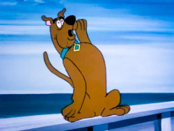 scoobydoomistakes:  You might have ‘ship problems, but Scooby