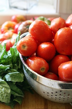 thevegetablemarket:  (via Roma tomatoes and fresh basil | R A